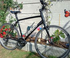 mens bicycle