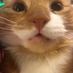 MrAlby