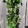 56 Feet Fake Ivy Garland Artificial Foliage Fake Leaves Hanging Garland Plant Greenery Leaves UV Resistant Vines with Fake Leaves for Bedroom Wedding Party Garden Wall Decoration Image 5
