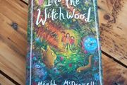 Into the witchwood