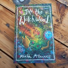 Into the witchwood