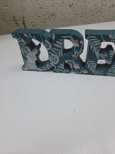 Disney Dream Decoration
