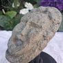 14 Century Celtic Mounted Limestone Gargoyle Image 5