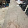 Perfect grain length of okd growth Cuban mahogany Image 3