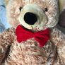 Large teddy Image 4
