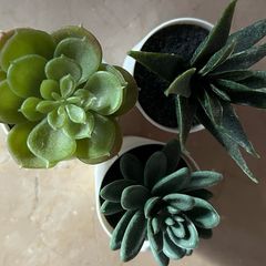 Artificial plants x 3