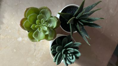 Artificial plants x 3