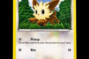 Lillipup 1/30 BW Trainer Kit Excadrill Zoroark Promo Pokemon Card Black and White 2011