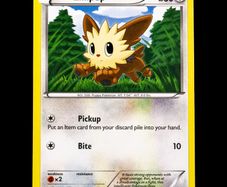 Lillipup 1/30 BW Trainer Kit Excadrill Zoroark Promo Pokemon Card Black and White 2011
