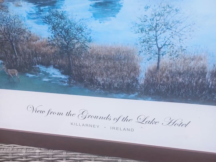 Framed print of Killarney lakes from Lake Hotel, D18