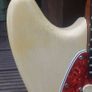Mustang Image 10