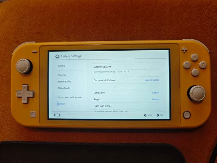 Nintendo Switch Lite 512GB modded picofly