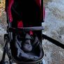 stroller Image 5