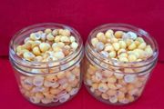 Shells (Yellow Periwinkle)
