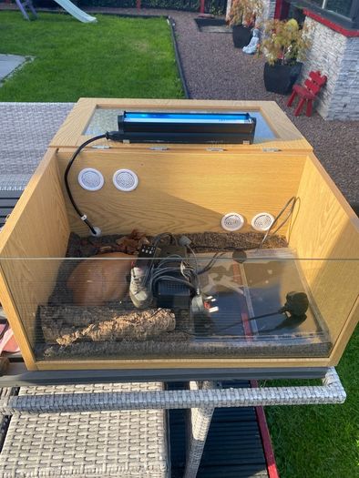 reptile vivarium