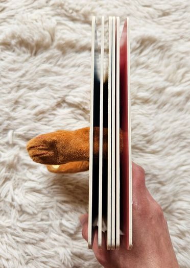 Huge Me Little Bear Finger Puppet Book