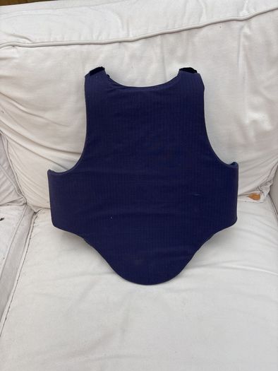 Back Protector