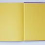 "Garden Colour: Choosing Stunning Colour Combinations for Your Garden" by Sue Fisher  hardback 2003 Image 6