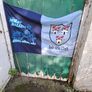 dublin flag Image 4