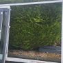 Large white bifold pvc door ,grey wrap on outside Image 9