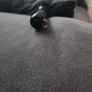 torch Image 7