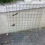 Collection of wire plant trays etc Image 4