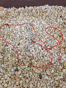 dog tie out cable