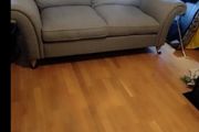 Harvey Norman Couch