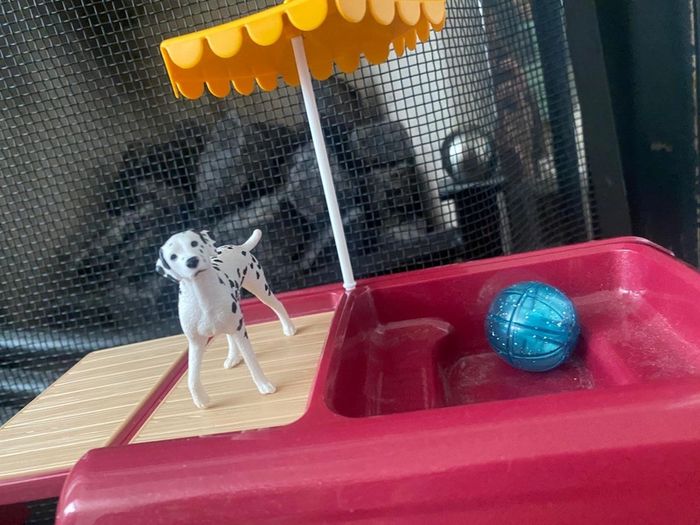 Schleich horse Club Transporter
