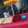 Schleich horse Club Transporter Image 8