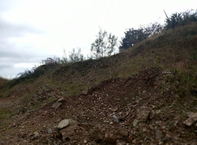 Top Soil & Sub Soil - No Charge