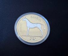 Golden Predecimal Irish Coin Collection