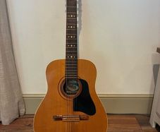 Vintage 12 string guitar
