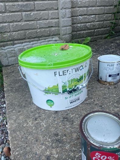 Paint Buckets (White and Gray )