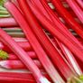 (R) Rhubarb Victoria seeds 0.5g (220236) Image 2
