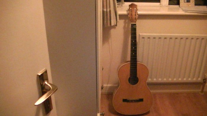 LARK Guitar