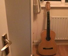 LARK Guitar