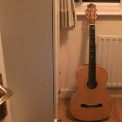 LARK Guitar