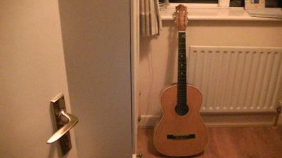 LARK Guitar