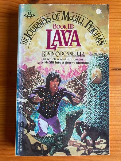 Fantasy book:'The Journeys Of McGill Feighan' Book: LAVA