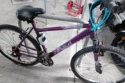 ladies bike