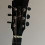 Brunswick guitar Image 2