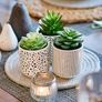 Farmhouse Set-of-3-artificial-succulents-in-pots | Black & White Ceramic pots with fake succulents | Faux Plants Indoor Artificial Succulent pots 4.75" high, 3" wide | Small Fake Plants Image 5