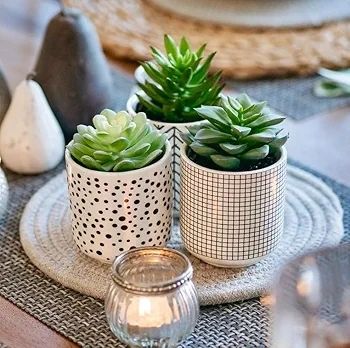 Farmhouse Set-of-3-artificial-succulents-in-pots | Black & White Ceramic pots with fake succulents | Faux Plants Indoor Artificial Succulent pots 4.75" high, 3" wide | Small Fake Plants