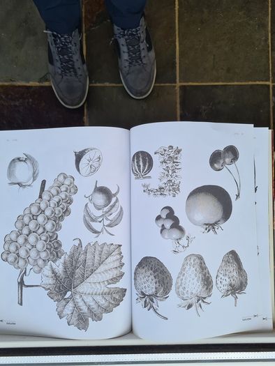 The Decoupage Sourcebook. Includes 64 Pages Of Motifs To Cut Out. By Jovasta Innrs & Stewart Walton.