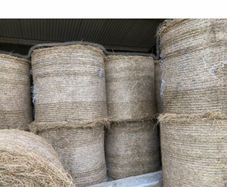 Hay for sale