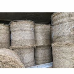 Hay for sale