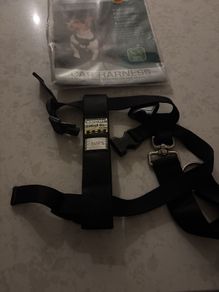 small dog car harness