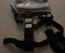 small dog car harness