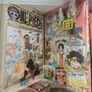 One Piece Manga bundle with rep devil fruit Image 2